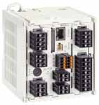 德國E+H,在線雙通道變送器